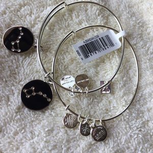 NWT Alex and Ani Big & Little Dipper bangle pair